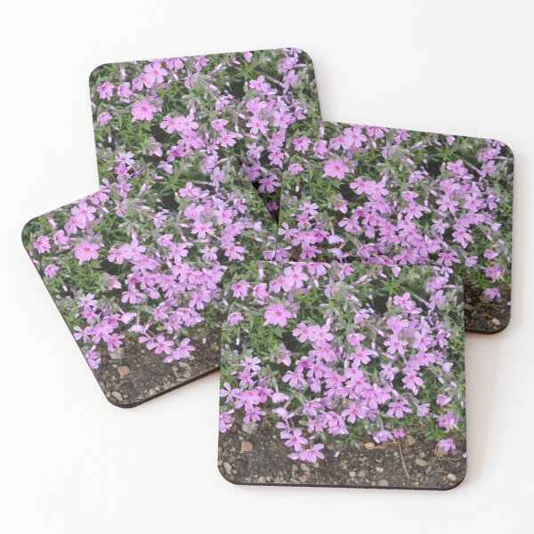 Item preview, Art by Mike Photography Photo Botany Flowers Nature Photography designed and sold by allartbymike.