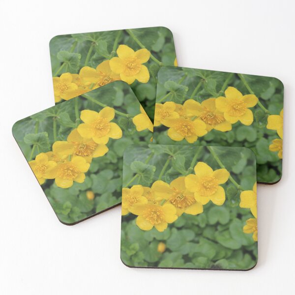 Item preview, Art by Mike Photography Photo Botany Flowers Nature Photography designed and sold by allartbymike.