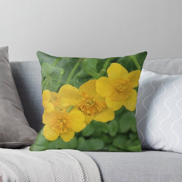 Item preview, Art by Mike Photography Photo Botany Flowers Nature Photography designed and sold by allartbymike.