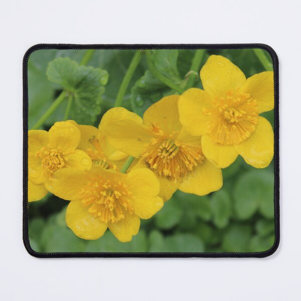 Item preview, Art by Mike Photography Photo Botany Flowers Nature Photography designed and sold by allartbymike.