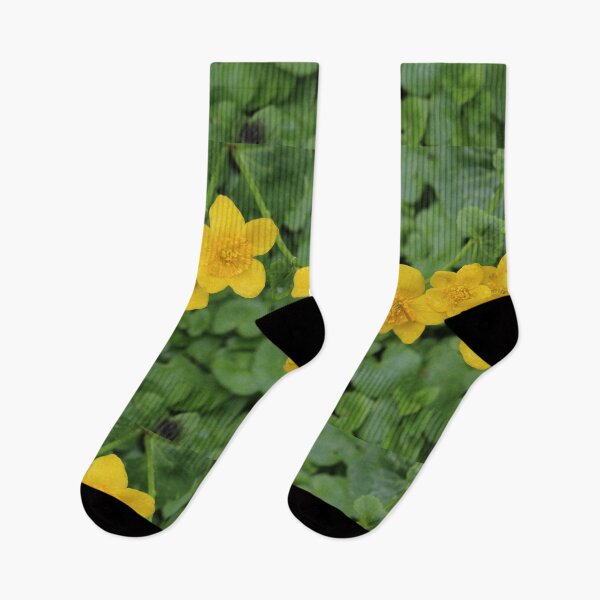 Item preview, Art by Mike Photography Photo Botany Flowers Nature Photography designed and sold by allartbymike.