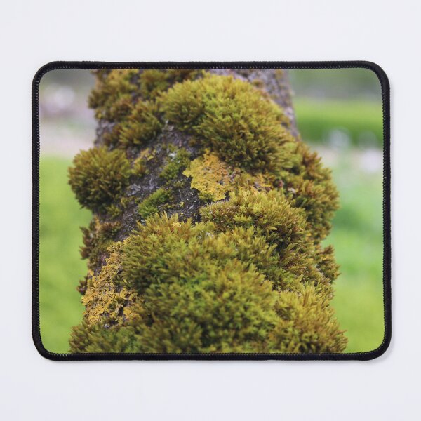 Item preview, Art by Mike Photography Photo Botany Flowers Nature Photography Tree trunk with mosses and lichens designed and sold by allartbymike.