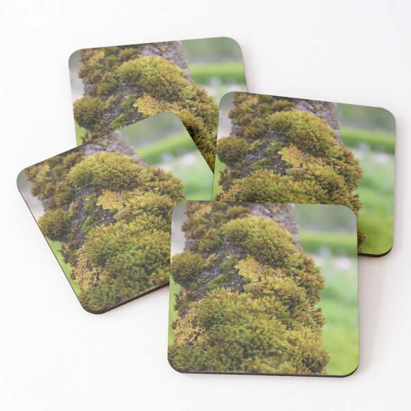 Item preview, Art by Mike Photography Photo Botany Flowers Nature Photography Tree trunk with mosses and lichens designed and sold by allartbymike.