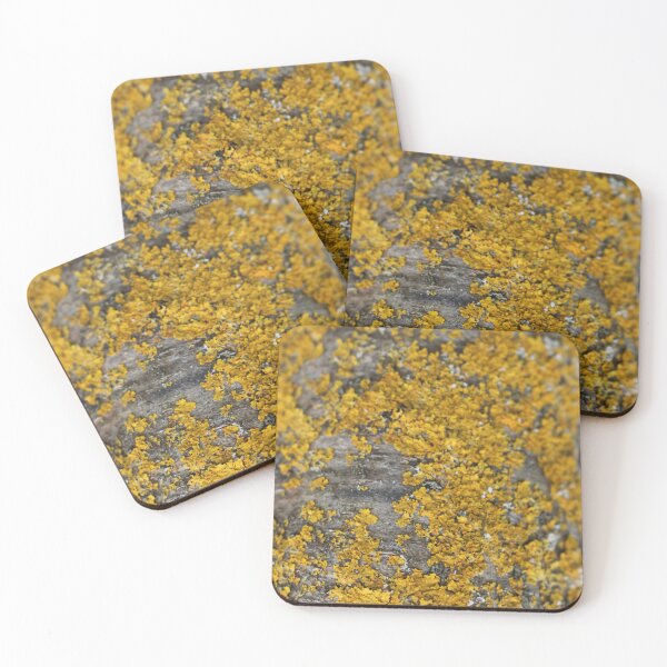 Item preview, Art by Mike Photography Photo Botany Nature Photography Tree trunk with mosses and lichens designed and sold by allartbymike.