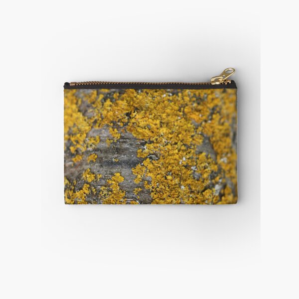 Item preview, Art by Mike Photography Photo Botany Nature Photography Tree trunk with mosses and lichens designed and sold by allartbymike.