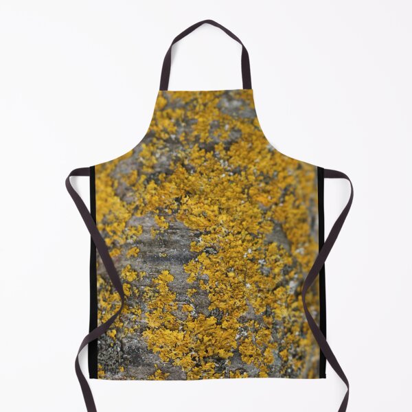 Item preview, Art by Mike Photography Photo Botany Nature Photography Tree trunk with mosses and lichens designed and sold by allartbymike.