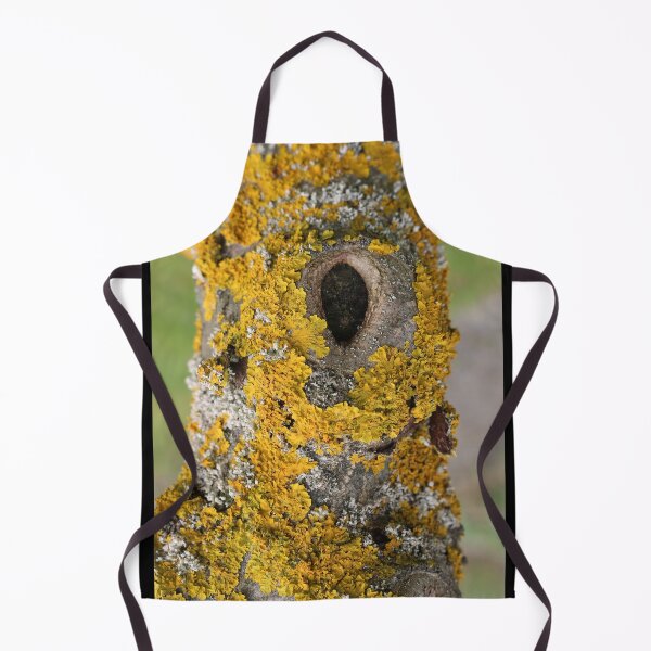 Item preview, Art by Mike Photography Photo Botany Nature Photography Tree trunk with mosses and lichens designed and sold by allartbymike.