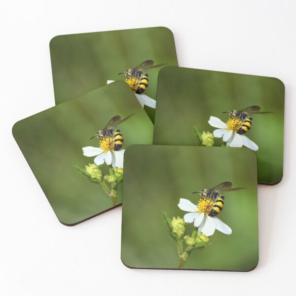 Item preview, Three-Banded Scolliid Wasp designed and sold by MercerImages.