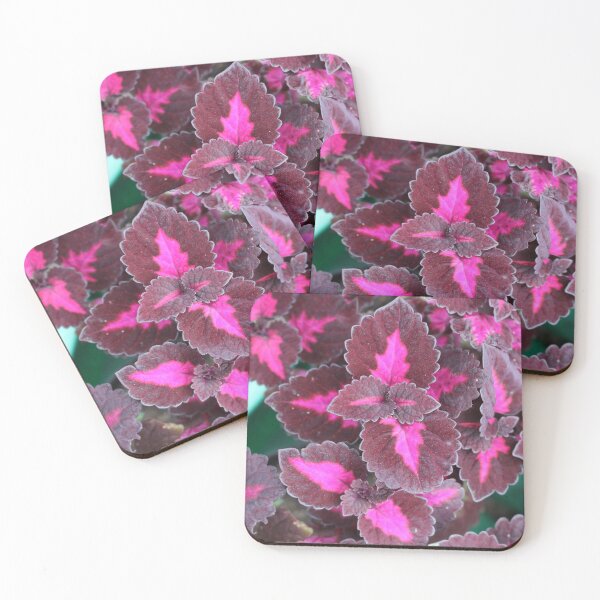 Item preview, Art by Mike Photography Photo Botany Leaves Nature Photography Colorful designed and sold by allartbymike.