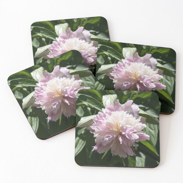 Item preview, A Singular Light Pink Peony Bloom designed and sold by Georgia Mizuleva.