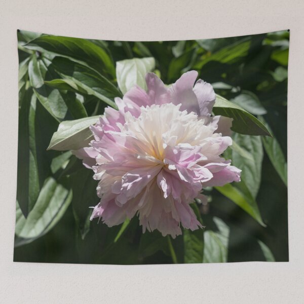 Item preview, A Singular Light Pink Peony Bloom designed and sold by Georgia Mizuleva.