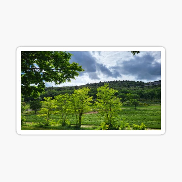 Item preview, Avignon, Vineyard designed and sold by WT-Fan-Art.