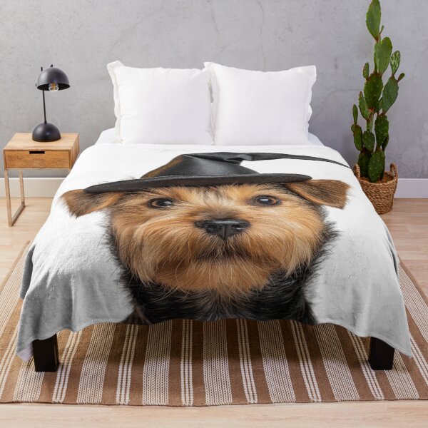 Item preview, Norfolk Terrier dog Wearing Halloween Witch Hat designed and sold by LazyOwlStore.