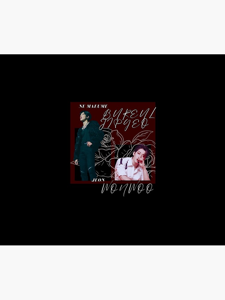 SEVENTEEN's  タペストリー ウォヌ Wonwoo Tapestries for Sale | Redbubble