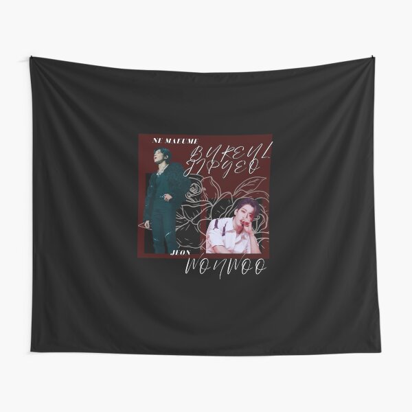 Wonwoo Tapestries for Sale | Redbubble