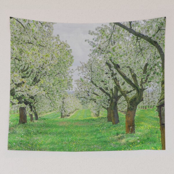 Item preview, Cherry blossom in all its beauty designed and sold by MarionsArt.