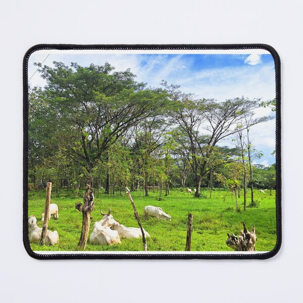 Item preview, Green Fields designed and sold by Quantum-Life.