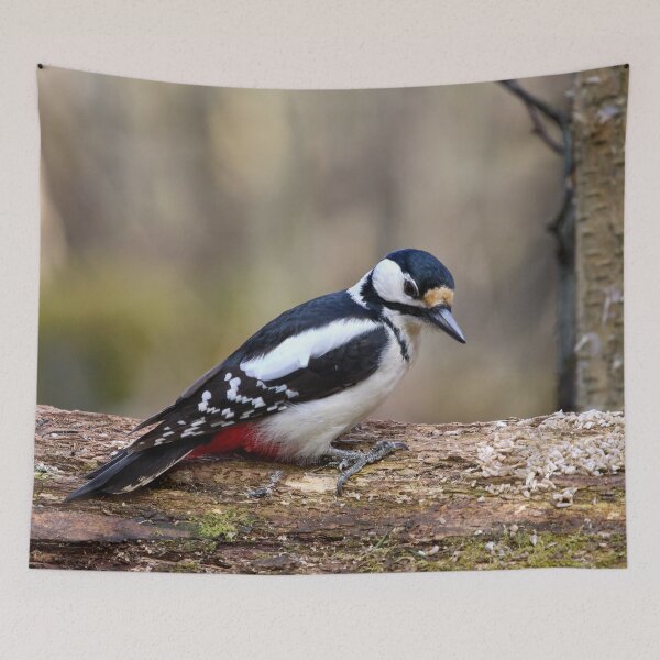 Item preview, After seeds. Great spotted woodpecker designed and sold by Jouko Lehto Photography.