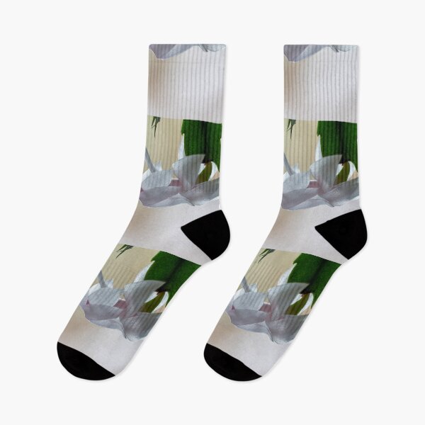 Item preview, Beauty. False Christmas cactus designed and sold by Jouko Lehto Photography.