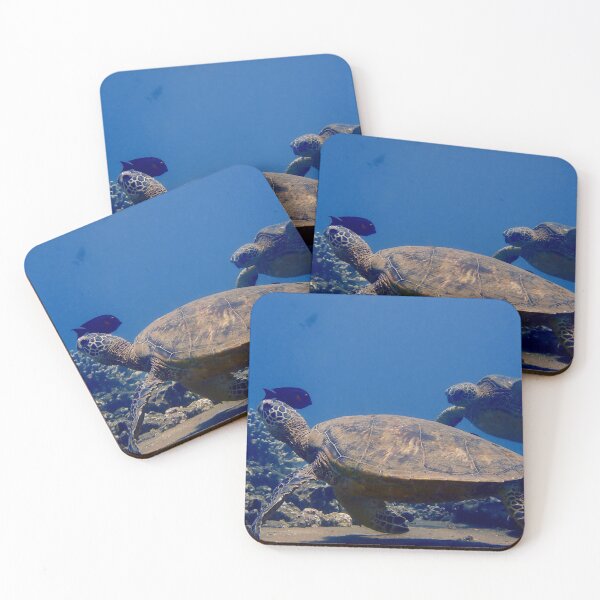 Item preview, Watering Hole designed and sold by Scuba-Rae.