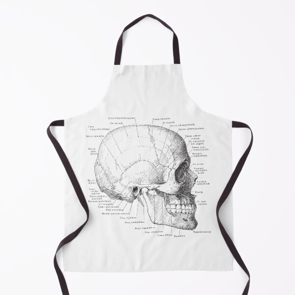 Item preview, Human skull anatomy vintage illustration designed and sold by Fantasy Cache.