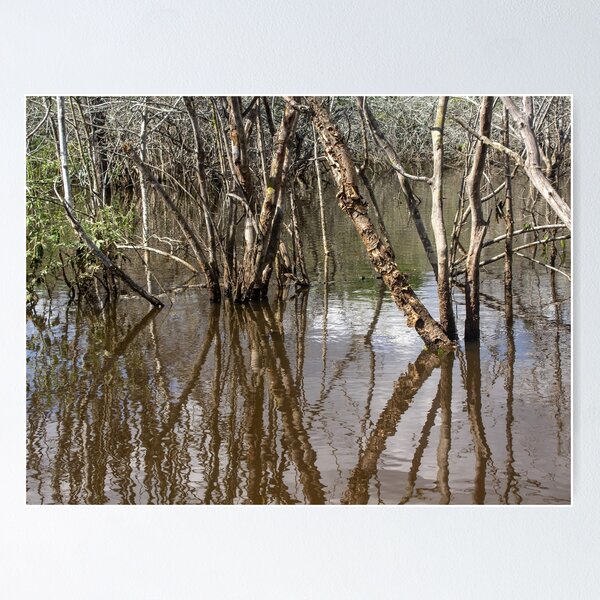 Item preview, submerged trees designed and sold by felipequeiroz.