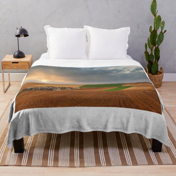 Item preview, Plowed and green wheat fields sunset landscape designed and sold by goceris.