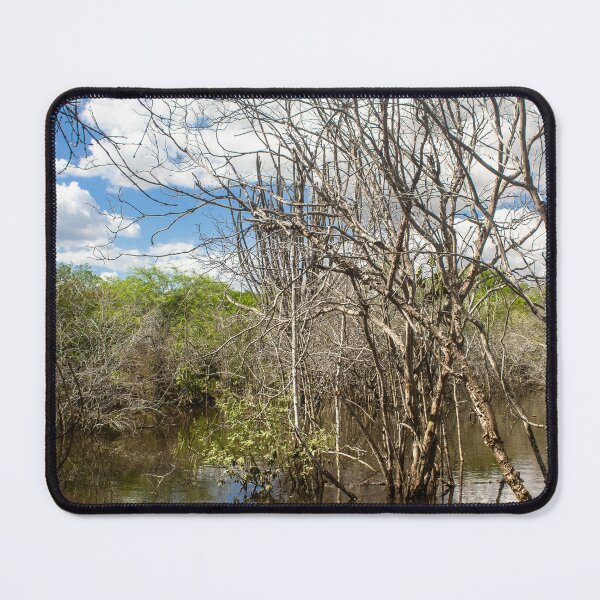 Item preview, submerged trees 7 designed and sold by felipequeiroz.