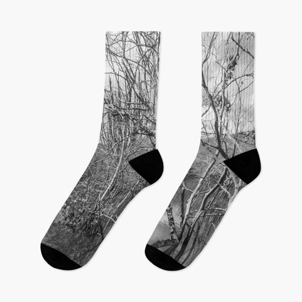 Item preview, submerged trees 10 designed and sold by felipequeiroz.