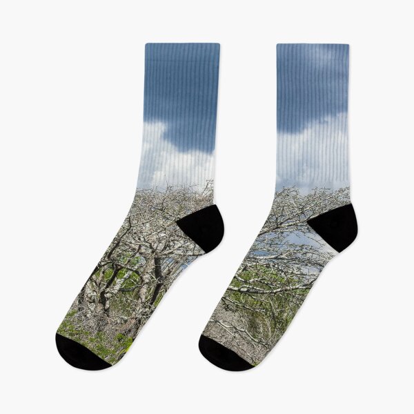Item preview, big dry tree designed and sold by felipequeiroz.