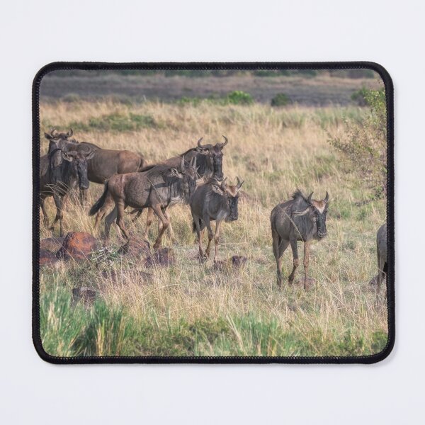 Item preview, Running of the Wildebeest in Kenya designed and sold by PhotoArt by Joan Carroll.