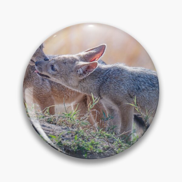 Item preview, Two Jackal Pups Masai Mara Kenya designed and sold by PhotoArt by Joan Carroll.