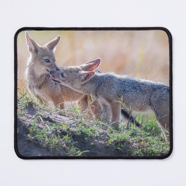 Item preview, Two Jackal Pups Masai Mara Kenya designed and sold by PhotoArt by Joan Carroll.