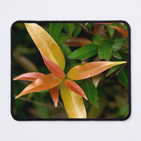 Item preview, autumn leaves designed and sold by EmmePonsImages.