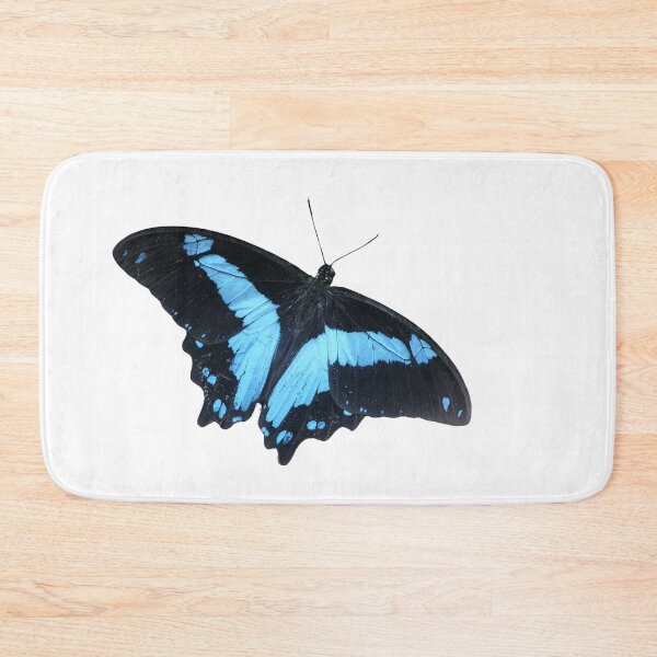 Item preview, Papilio chrapkowskoides: blue swallowtail  designed and sold by Entomologist.