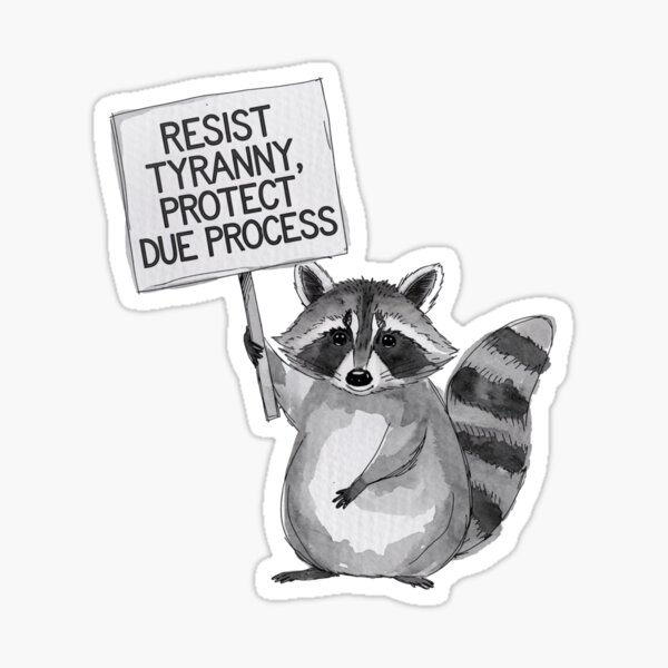 Item preview, Resist Tyranny, Protect Due Process  designed and sold by ketkacreations.