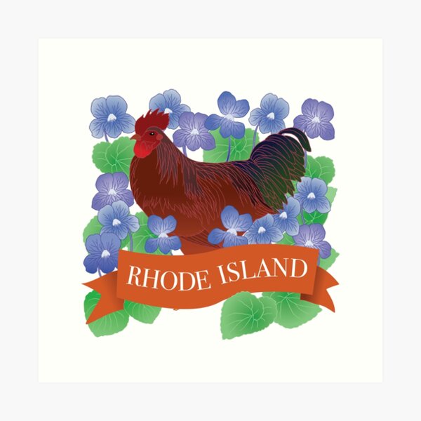 Item preview, Rhode Island State Flower and Bird designed and sold by WingsandPetals.