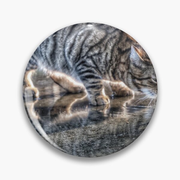 Item preview, Thirst and Reflection – A Cat’s Moment designed and sold by Faruk Kalkan Travel Gallery.