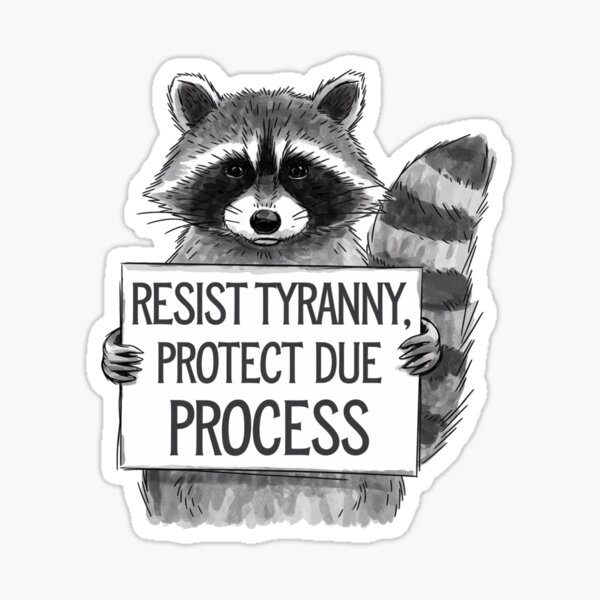 Item preview, Resist Tyranny, Protect Due Process  designed and sold by ketkacreations.