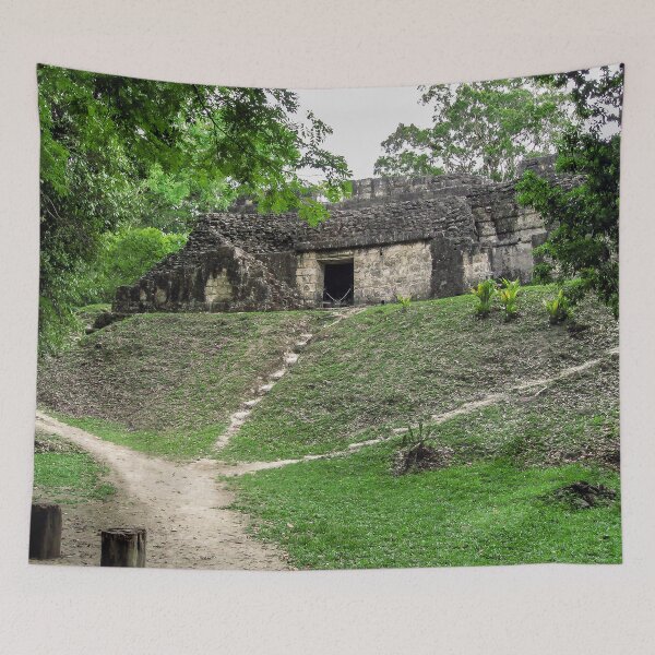 Item preview, Steps to an Ancient Mayan Ruin in Guatemala designed and sold by heatherfriedman.