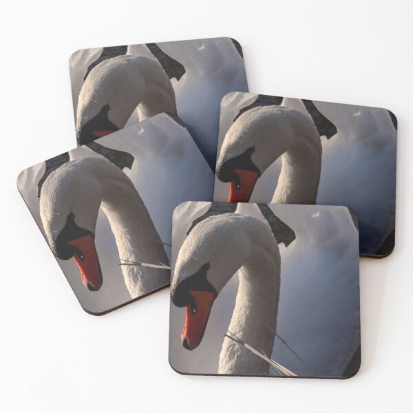 Item preview, Grace in backlight – swan portrait designed and sold by Pepe2024.