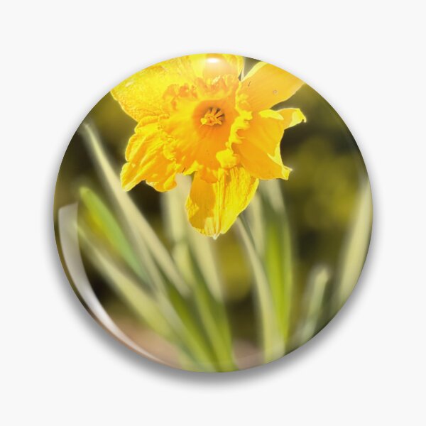 Item preview, A Single Daffodil designed and sold by Doodles & More Emporium.