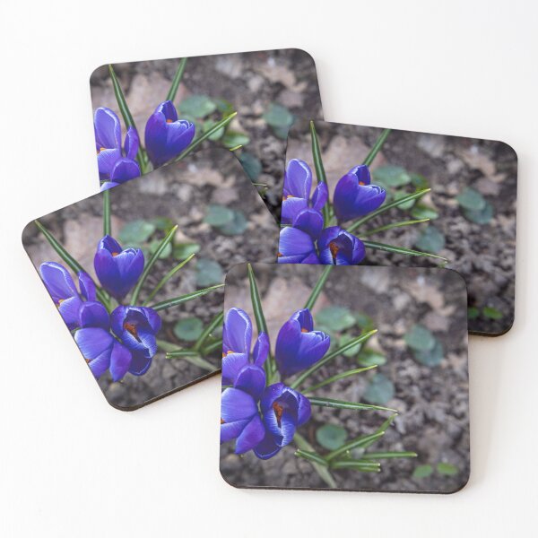 Item preview, Deep purple flower power – crocuses in the ground designed and sold by Pepe2024.