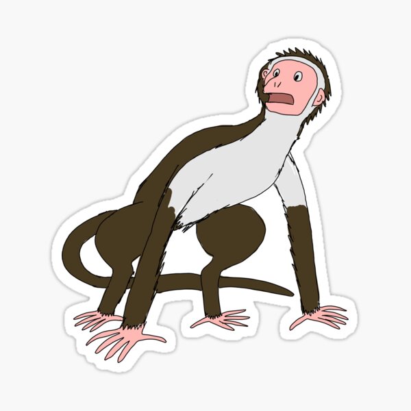 Item preview, White-Fronted Capuchin designed and sold by FossilRecordGNS.