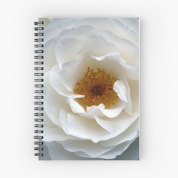 Item preview, White Rose of York designed and sold by Woodie.