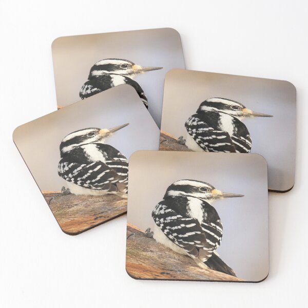 Item preview, Hairy Woodpecker, bird, North American Bird, Songbird, Backyard Bird designed and sold by BirdsnStuff.