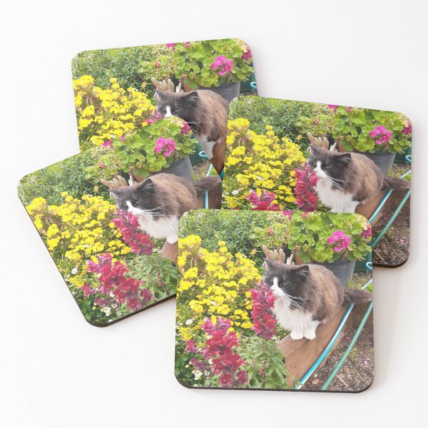 Item preview, Tuxedo Cat And Flowers Cute Sniffing Flower Beautiful Garden designed and sold by Sarah  Rajkotwala.