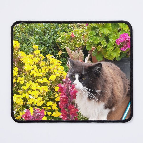 Item preview, Tuxedo Cat And Flowers Cute Sniffing Flower Beautiful Garden designed and sold by Sarah  Rajkotwala.