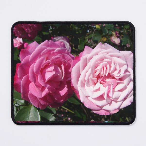 Item preview, Pink Rose Photo designed and sold by Sarah  Rajkotwala.