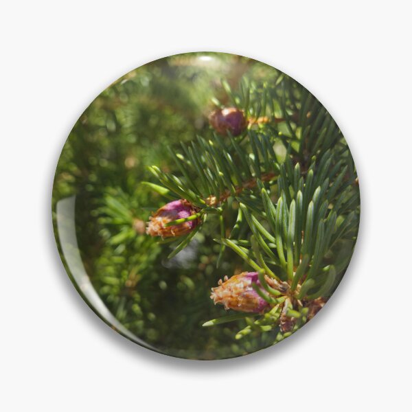 Item preview, The Beginning of Pine Codes designed and sold by Betsy Phillips.
